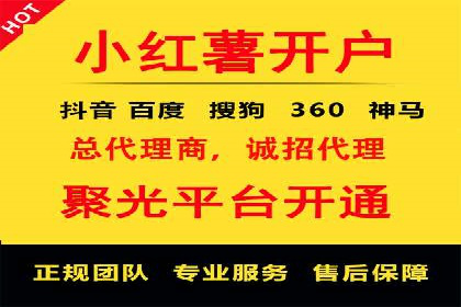 SEM运营策略案例分析